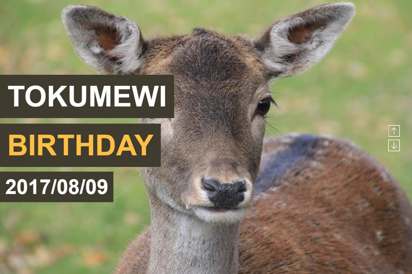 25歳の誕生日をお祝いしてもらうためのコンテンツを作った話